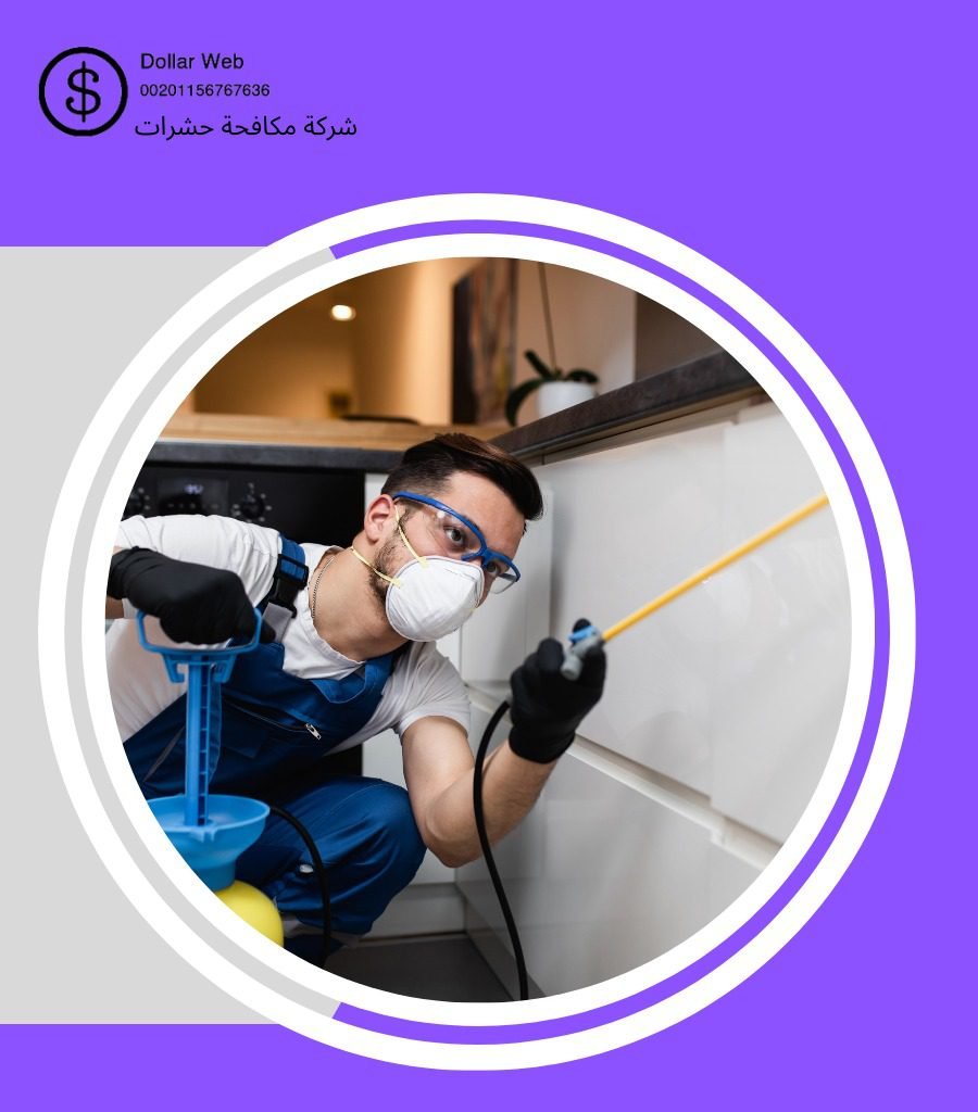 مكافحة حشرات المونسية بالرياض