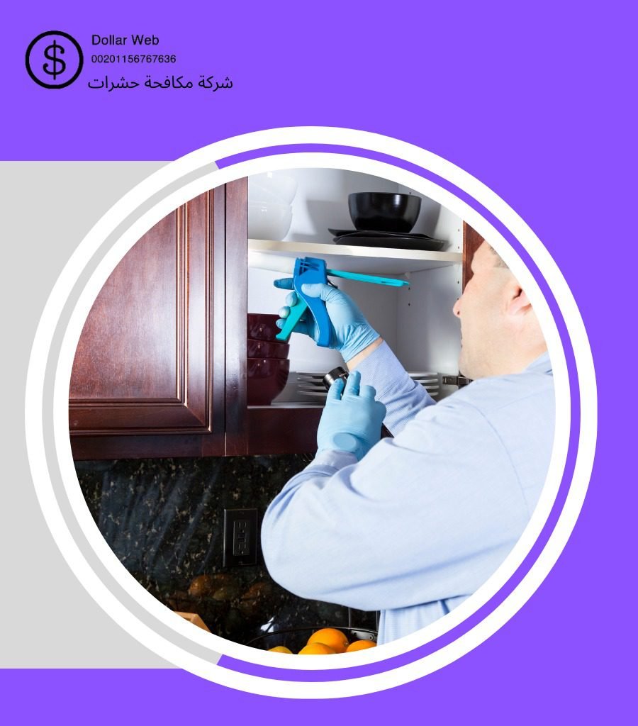 مكافحة حشرات المعيزلية الرياض