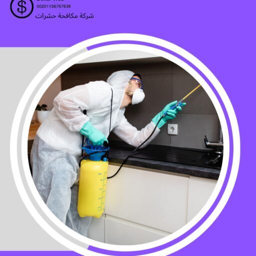 رش مبيدات النهضة بالرياض