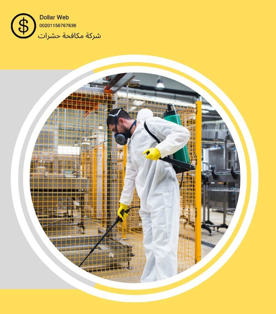 مكافحة حشرات الشميسي بالرياض