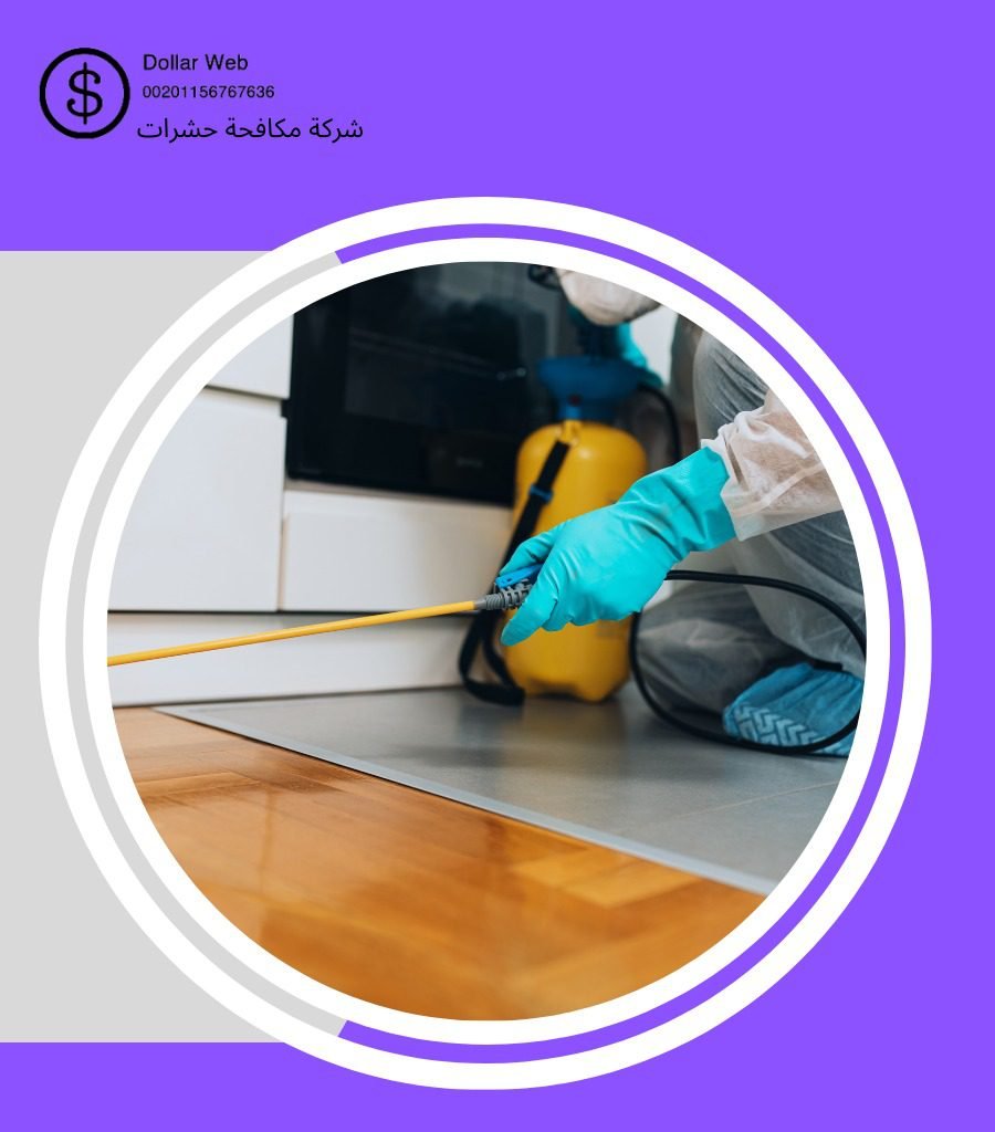 شركات مكافحة البق بالرياض