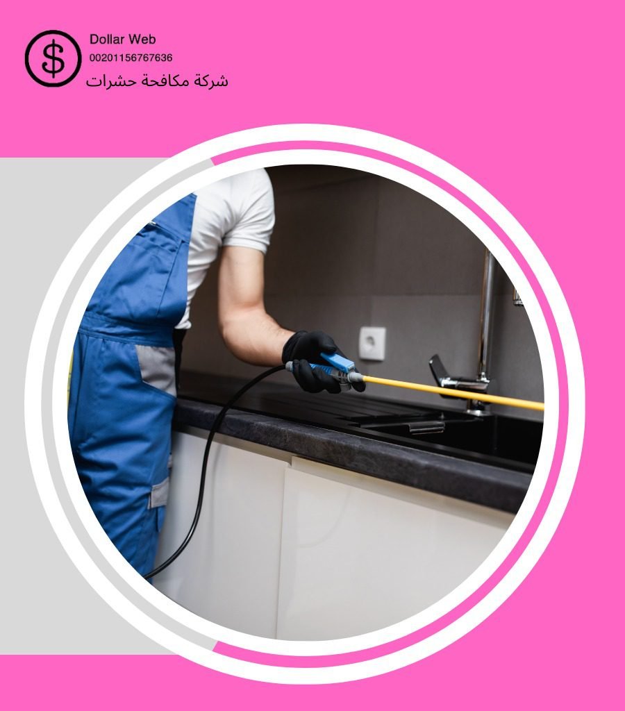 مكافحة حشرات السلي بالرياض