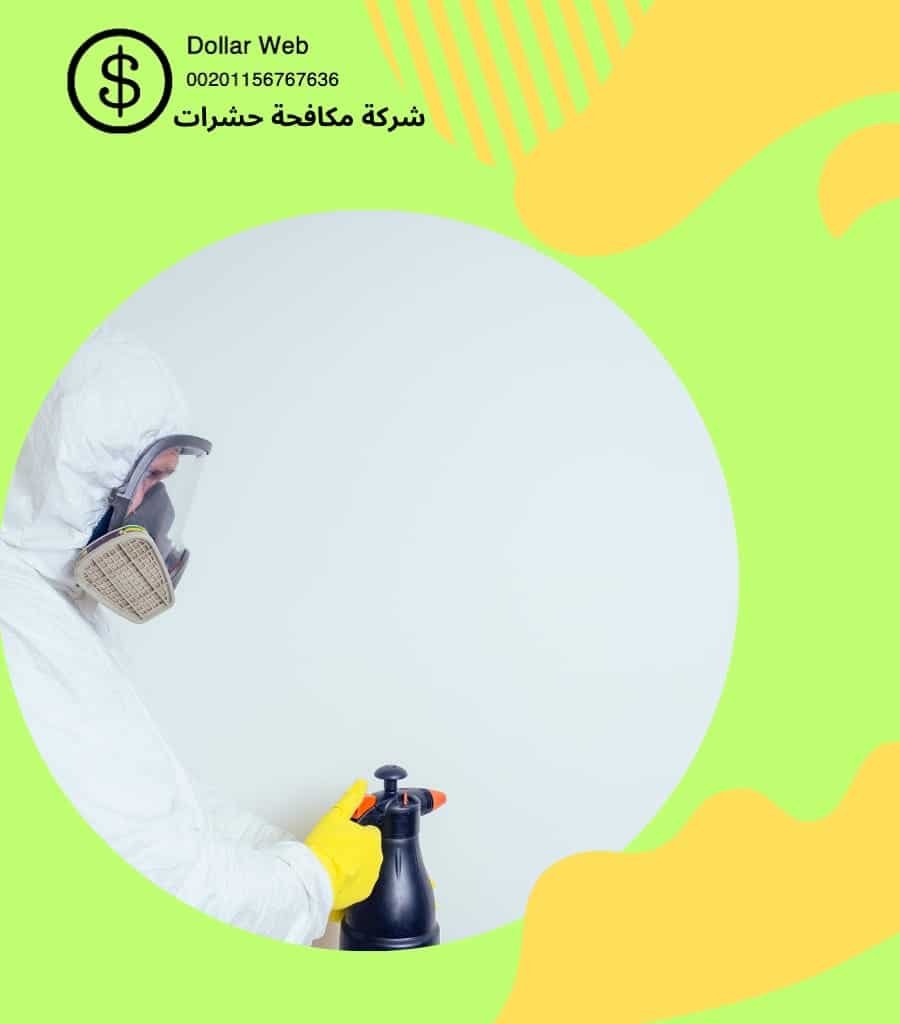 شركات رش الحشرات بالرياض
