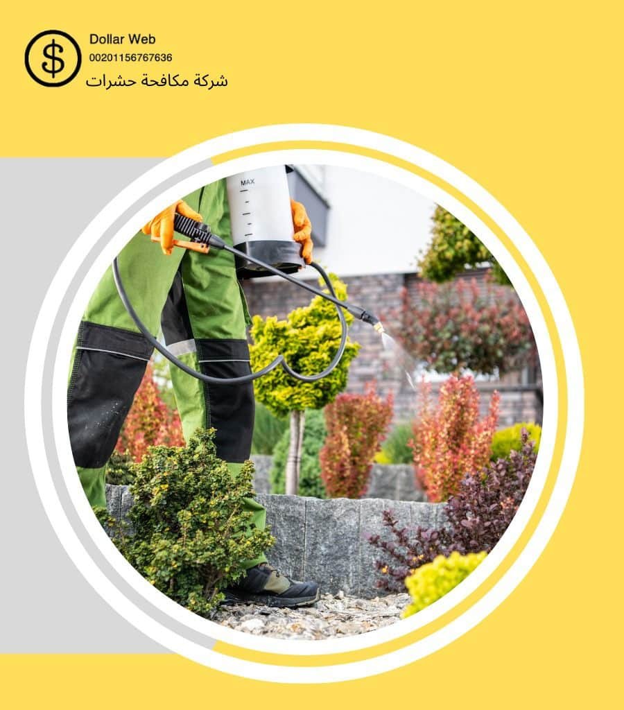 مكافحة حشرات النظيم بالرياض