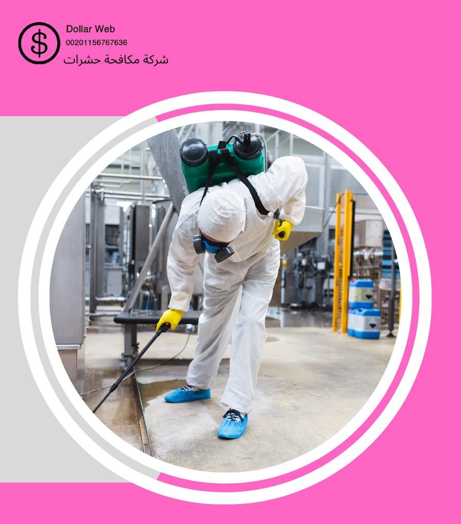 مكافحة حشرات الشعلان بالرياض