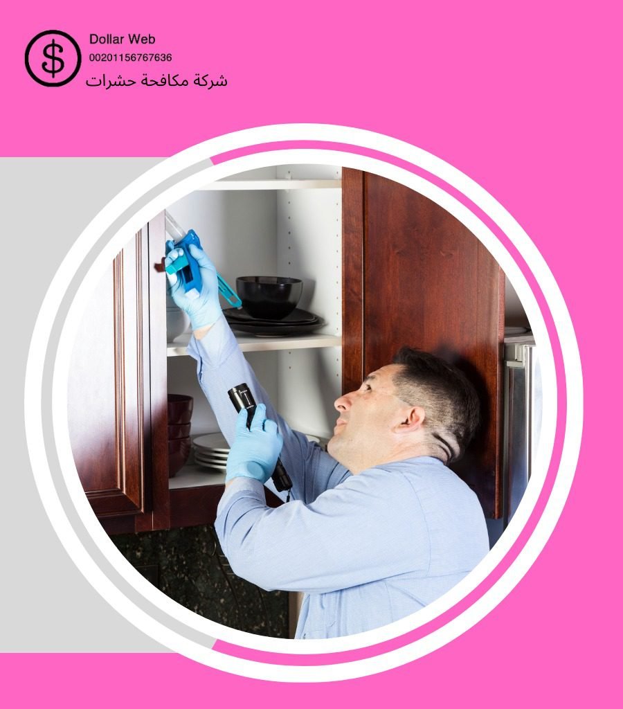 رش حشرات السويدي بالرياض