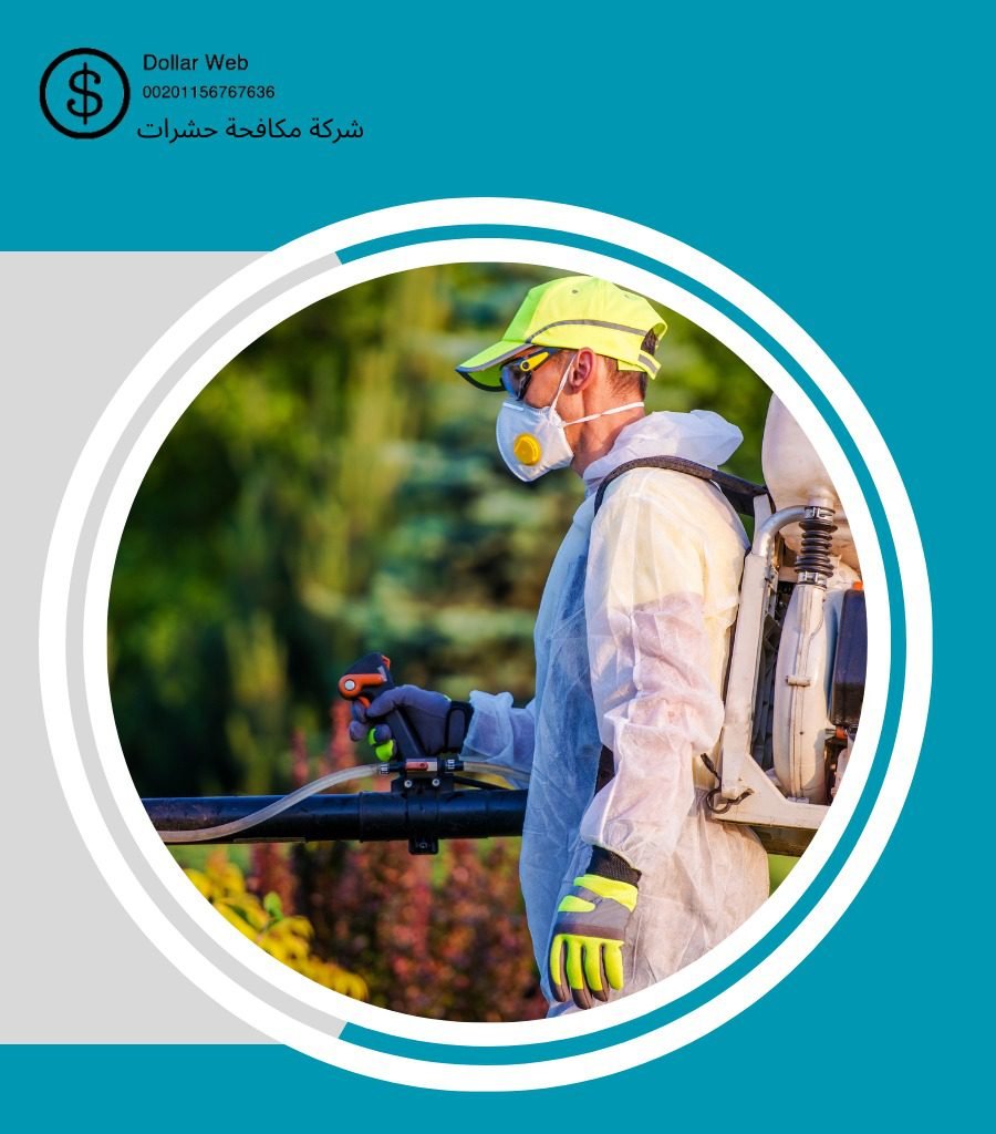 رش حشرات اليمامة بالرياض