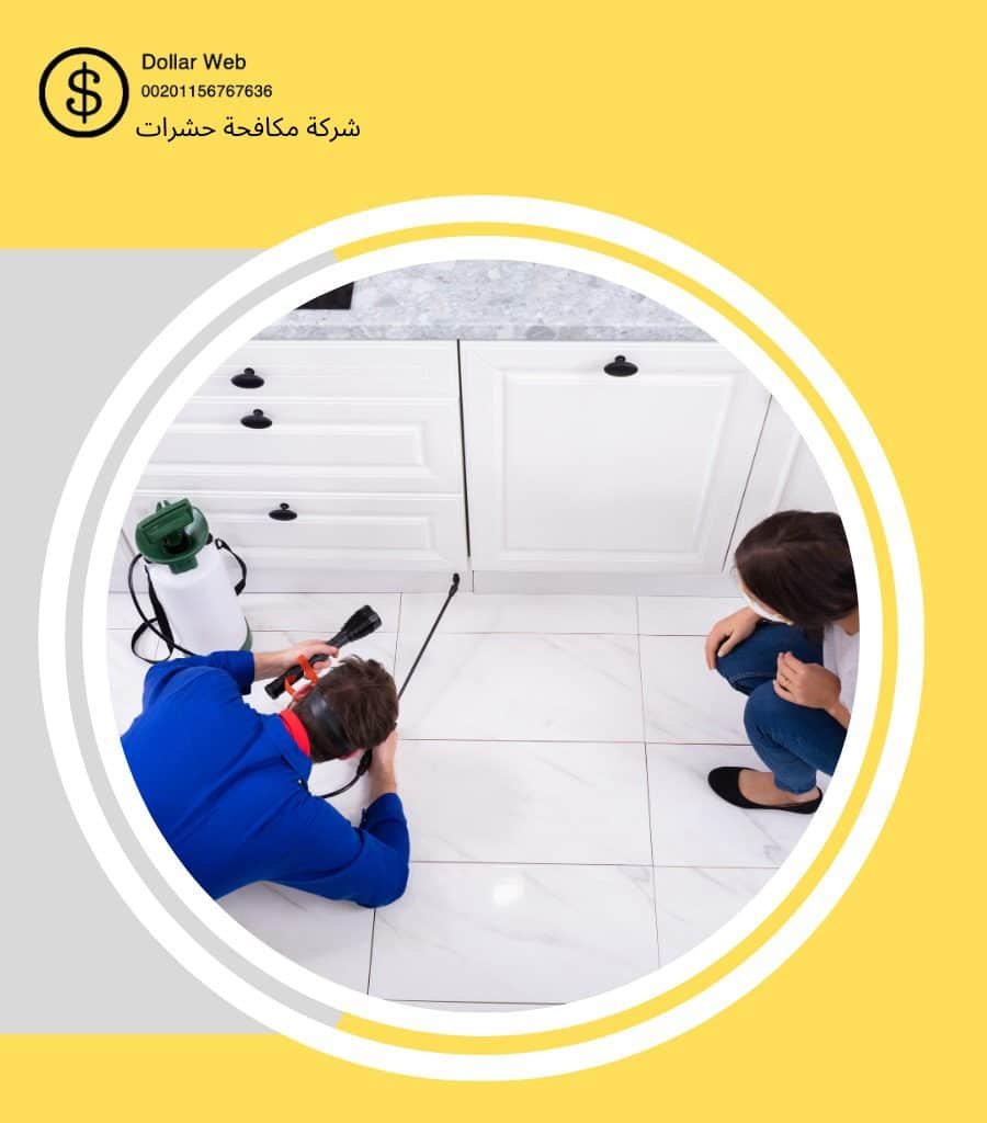 مكافحة صراصير المغرزات بالرياض