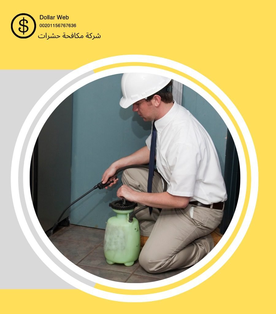 رش حشرات شبرا بالرياض