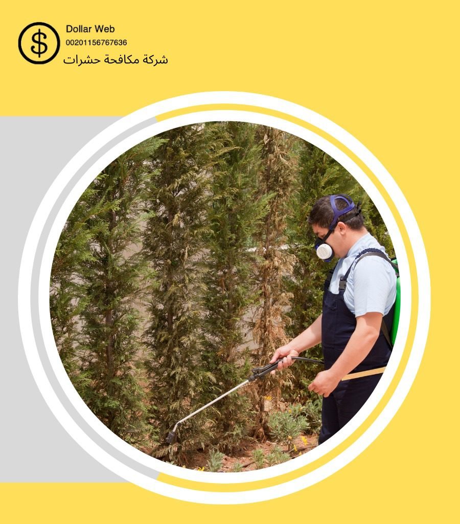 مكافحة حشرات الحمراء بالرياض